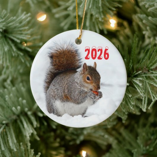 Eichhörnchen im Schnee mit Berry Ornament (Baum)