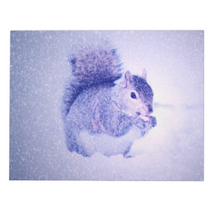 Eichhörnchen im Schnee Notizblock