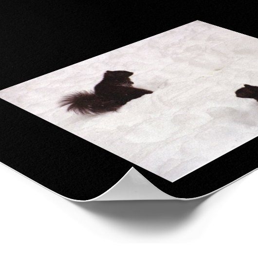 Eichhörnchen im Schnee Poster (Ecke)