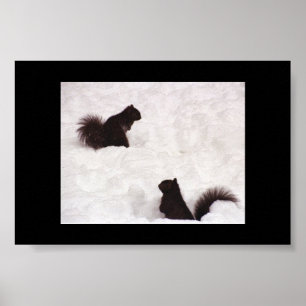 Eichhörnchen im Schnee Poster