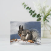 Eichhörnchen im Schnee Postkarte (Stehend Vorderseite)