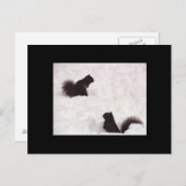 Eichhörnchen im Schnee Postkarte (Vorne/Hinten)
