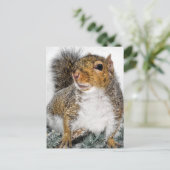 Eichhörnchen im Schnee Postkarte (Stehend Vorderseite)