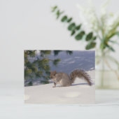 Eichhörnchen im Schnee Postkarte (Stehend Vorderseite)
