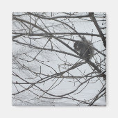 Eichhörnchen im Schneemagnet Magnet (Vorne)