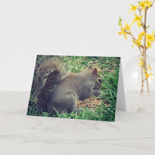 Eichhörnchen im Vogelgeflügel Karte (Gelbe Blume)