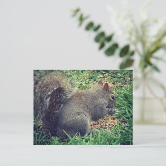 Eichhörnchen im Vogelgeflügel Postkarte (Stehend Vorderseite)
