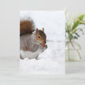 Eichhörnchen im Winter (Stehend Vorderseite)