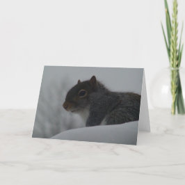 Eichhörnchen im Winter Karte