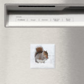 Eichhörnchen im Winter Magnet (In Situ (Geschirrspüler))