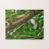 Eichhörnchen in Baum Wildlife-Fotografie  Puzzle (Horizontal)