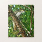 Eichhörnchen in Baum Wildlife-Fotografie  Puzzle (Vertikal)