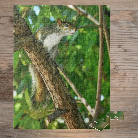 Eichhörnchen in Baum Wildlife-Fotografie  Puzzle