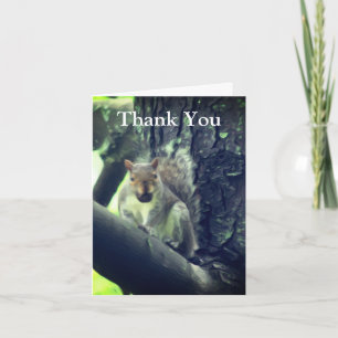 Eichhörnchen in Baumkunst Danke Karte