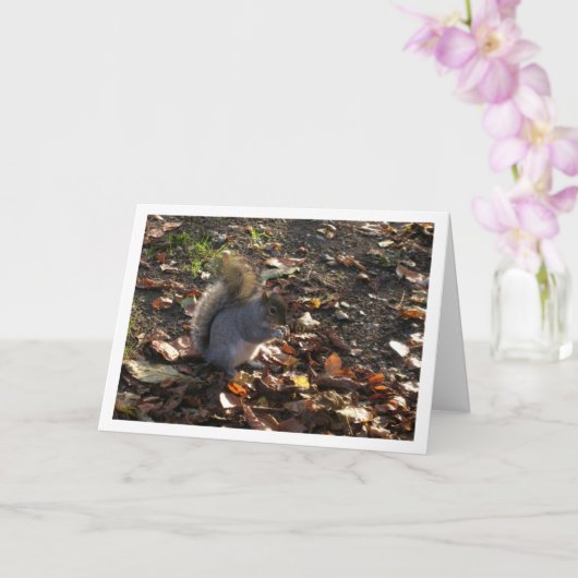 Eichhörnchen in Blätter Karte (Orchidee)