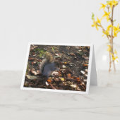 Eichhörnchen in Blätter Karte (Gelbe Blume)