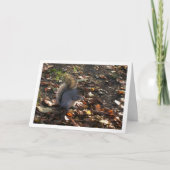 Eichhörnchen in Blätter Karte (Vorderseite)