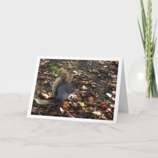 Eichhörnchen in Blätter Karte (Vorderseite)