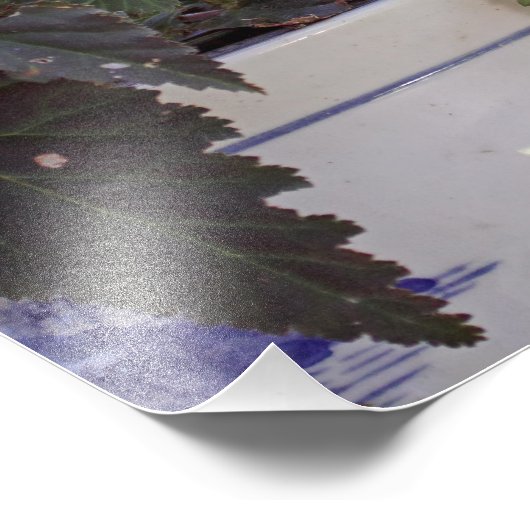 Eichhörnchen in Blume Pot Fotodruck (Ecke)