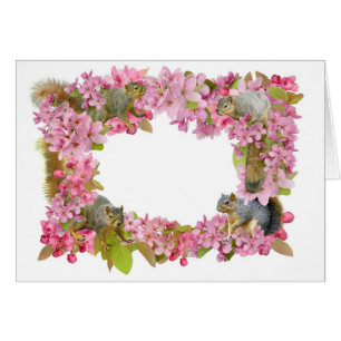 Eichhörnchen in den Blumen