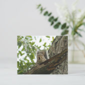 Eichhörnchen in der Baumpostkarte Postkarte (Stehend Vorderseite)