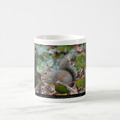 Eichhörnchen in der Ivy - Liebe Geschenke & Beklei Kaffeetasse (Mittel)