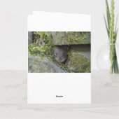 Eichhörnchen in der Schnee Weihnachtskarte Karte (Rückseite)