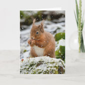 Eichhörnchen in der Schnee Weihnachtskarte Karte (Vorderseite)