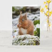 Eichhörnchen in der Schnee Weihnachtskarte Karte (Gelbe Blume)