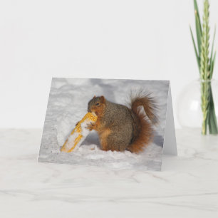 Eichhörnchen in der Schneegrüßkarte Karte