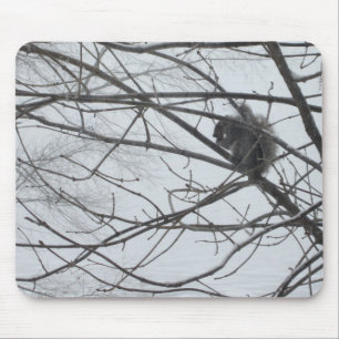 Eichhörnchen in der Schneemuseepad Mousepad