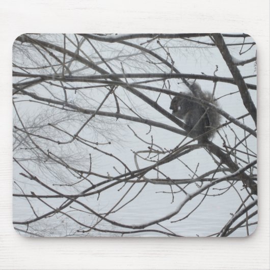 Eichhörnchen in der Schneemuseepad Mousepad (Vorne)
