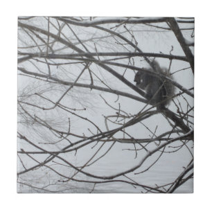 Eichhörnchen in der Schneezange Fliese