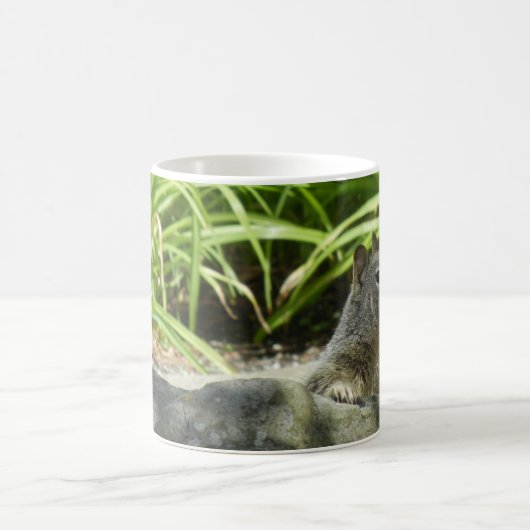 Eichhörnchen in der Shade-Tasse Kaffeetasse (Mittel)