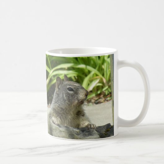 Eichhörnchen in der Shade-Tasse Kaffeetasse (Rechts)