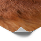 Eichhörnchen in der Sonne Poster (Ecke)