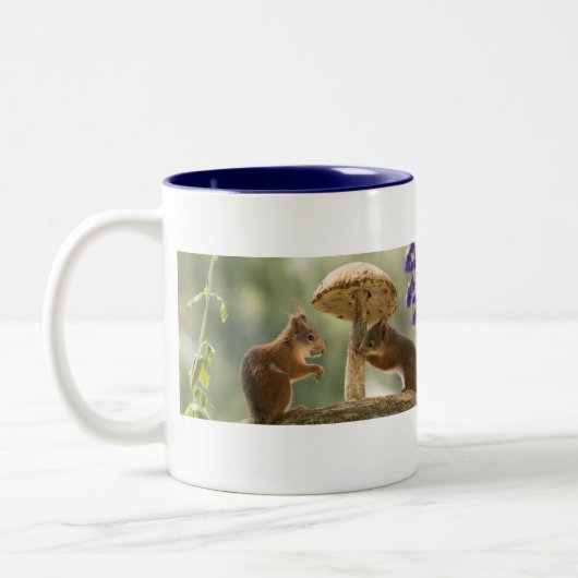 Eichhörnchen in der Tasse der Pilze (Links)