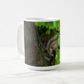 Eichhörnchen in der Tasse Eichenbaum (Vorderseite Links)