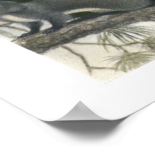 Eichhörnchen in der Walddruckerei Poster (Ecke)