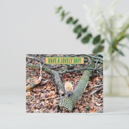 Eichhörnchen in der Waldgrüßkarte Postkarte (Stehend Vorderseite)