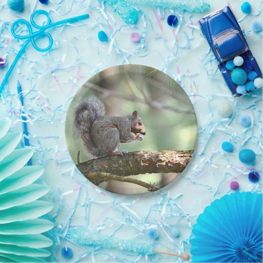 Eichhörnchen in der Waldpapierplatte Pappteller (Party)