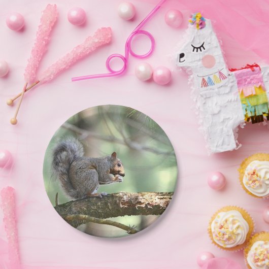 Eichhörnchen in der Waldpapierplatte Pappteller (Party)
