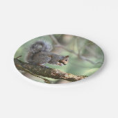 Eichhörnchen in der Waldpapierplatte Pappteller (Schrägansicht)