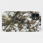 Eichhörnchen in einem Baum Case-Mate iPhone Hülle (Rückseite (Horizontal))