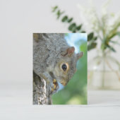 Eichhörnchen in einem Baum Postkarte (Stehend Vorderseite)