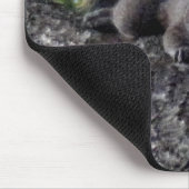 Eichhörnchen in einem Baum ruhen Mousepad (Ecke)