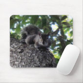 Eichhörnchen in einem Baum ruhen Mousepad (Mit Mouse)