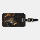 Eichhörnchen in einem Fleck Sonnenlicht Gepäckanhänger (Vorderseite horizontal)