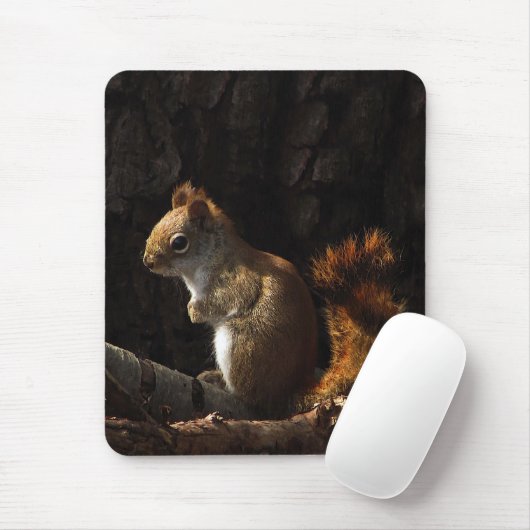 Eichhörnchen in einem Fleck Sonnenlicht Mousepad (Mit Mouse)