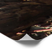 Eichhörnchen in einem Fleck Sonnenlicht Poster (Ecke)